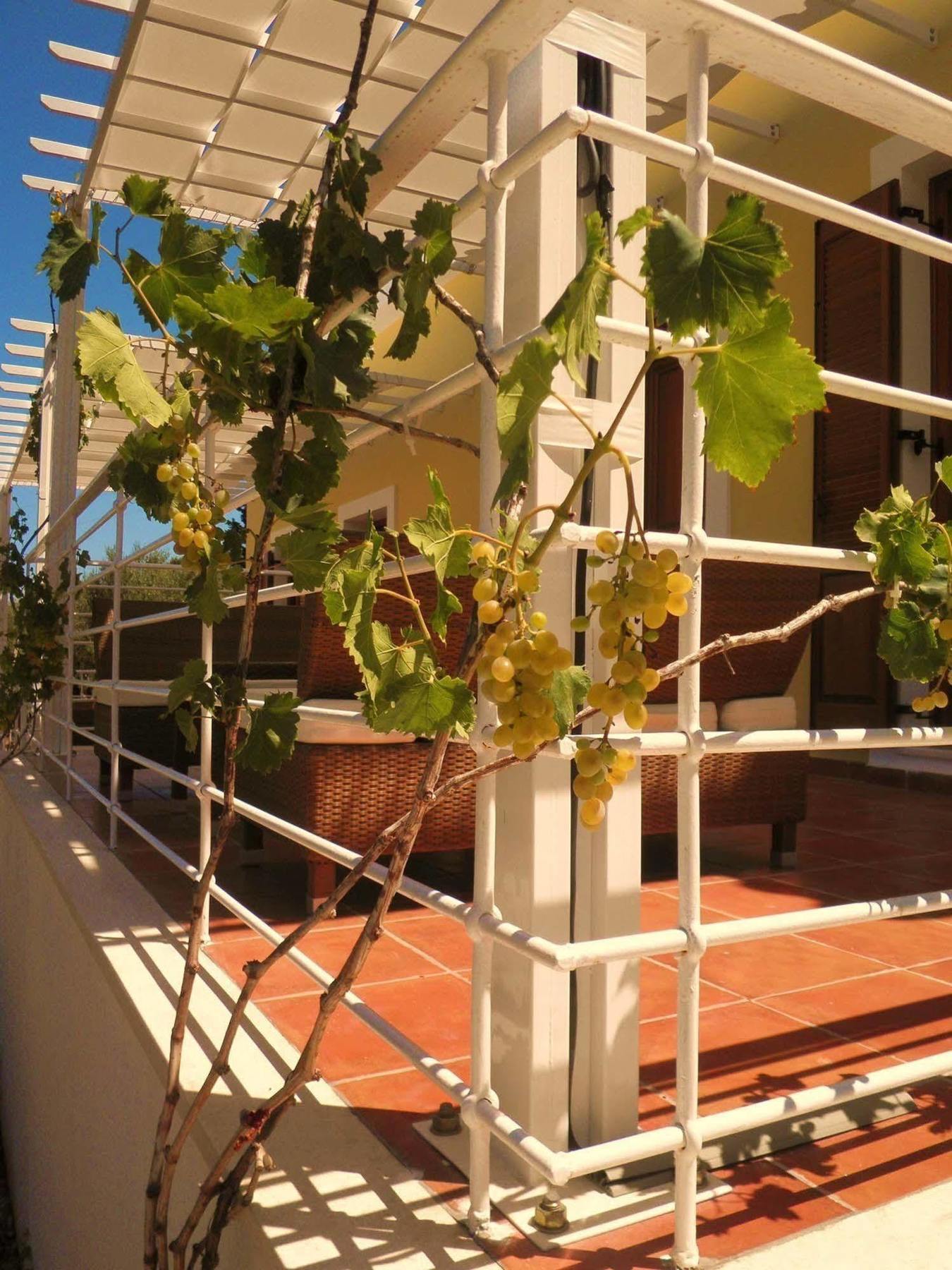 Appartement Tesoro Of Ithaca *